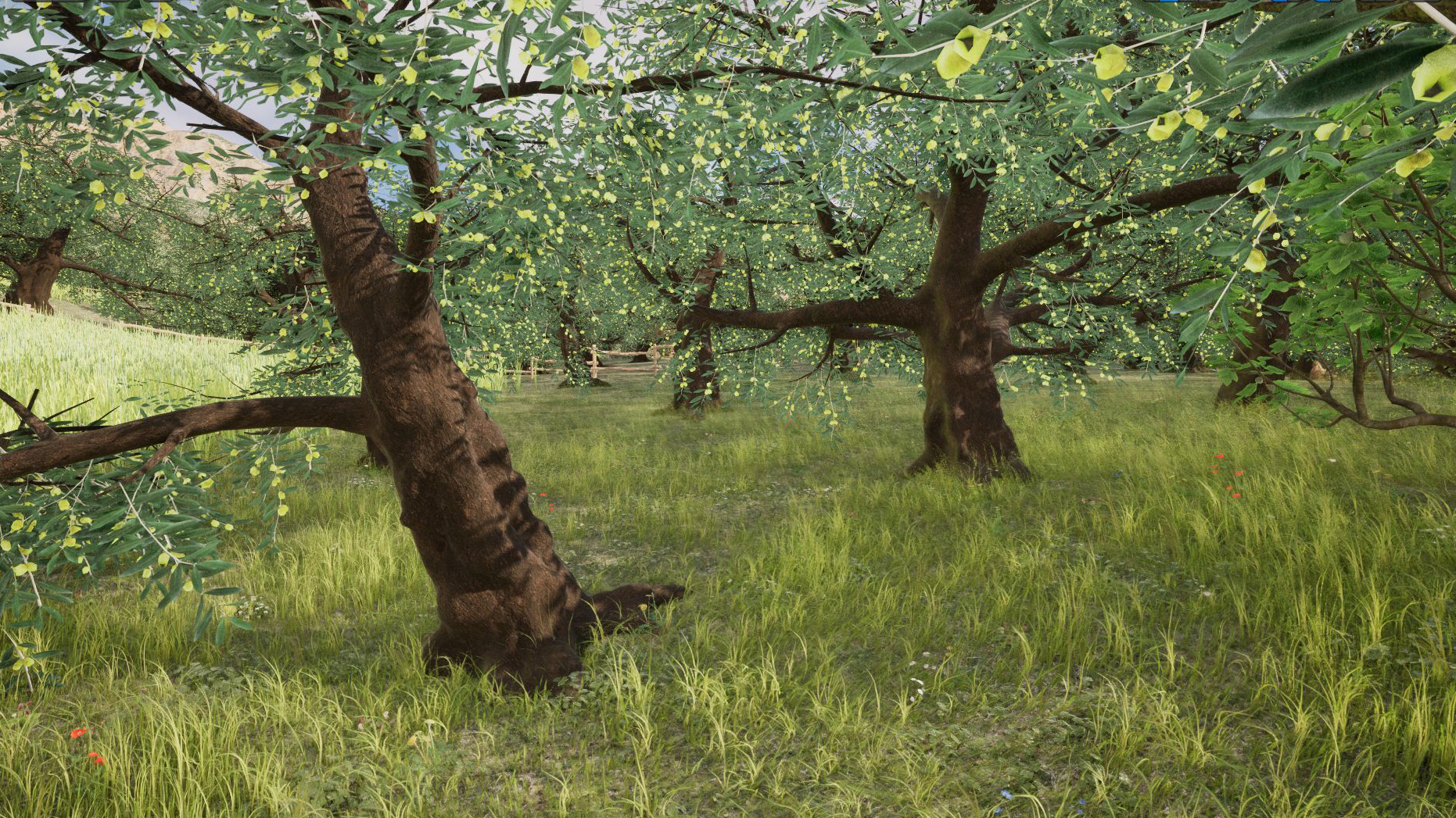 Daily life and agriculture